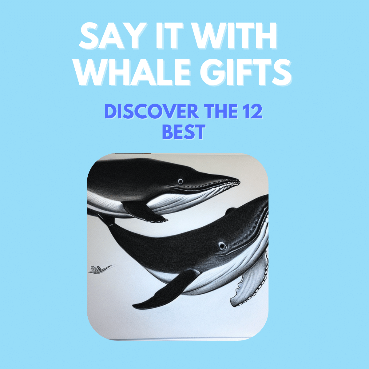 Say it with Whale Gifts-Discover the 12 Best